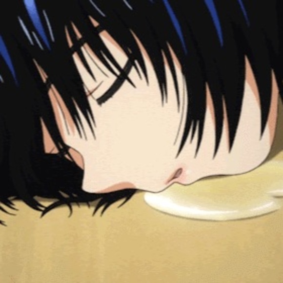 Meet your Posher, Rudy - Picture 1 of 1